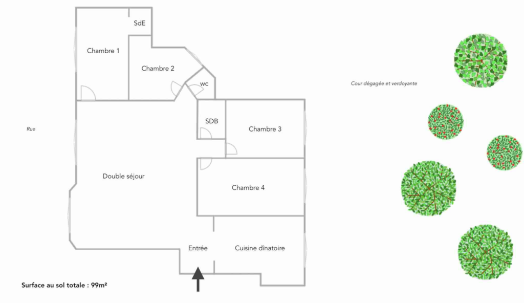 photo_6d82ac95e6c9f2186cf4b205725abc6f-9.png